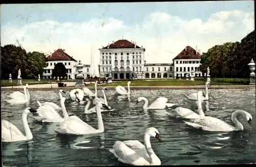 Ak Nymphenburg München Bayern, Königliches Schloss Nymphenburg, Schwäne