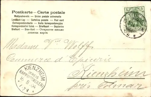 Ak Titisee Neustadt im Breisgau Hochschwarzwald, Totalansicht