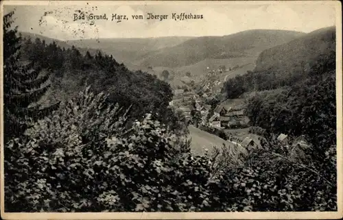 Ak Bad Grund im Harz, Totalansicht, Blick vom Iberger Kaffeehaus