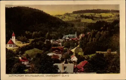 Ak Międzygórze Wölfelsgrund Schlesien, Panorama Grafschaft Glatz