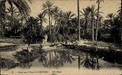 Ak Chenini Tunesien, Brücke über den Oued, Palmen