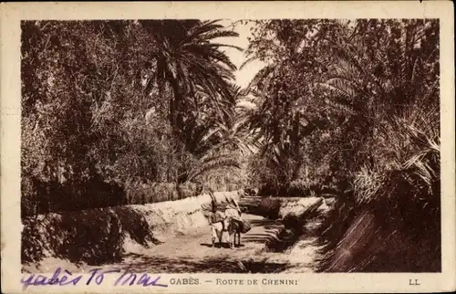 Ak Gabès, Tunesien, Route de Chenini