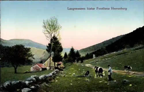 Ak Hallau Kanton Schaffhausen, Langenwasen hinter Forsthaus Herrenberg