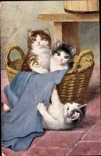 Ak Drei verspielte Katzen, Tiere im Korb, Kurzweil