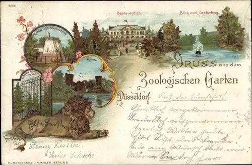 Litho Düsseldorf am Rhein, Zoologischer Garten, Löwe, Restaurant