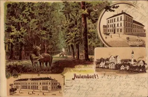 Litho Aulendorf in Württemberg, Gasthaus, Gräflicher Tiergarten, Schloss, Kirche