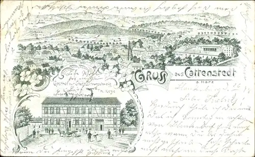 Litho Cattenstedt Blankenburg am Harz, Gasthof zur Stadt Braunschweig, Totalansicht