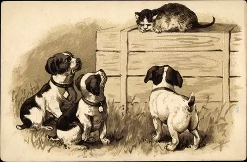 Präge Litho Katze ist vor Hunden auf eine Holzkiste geflüchtet