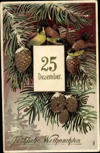 Präge Litho Glückwunsch Weihnachten, Kalenderblatt 25 Dezember, Tannenzweig, Vögel