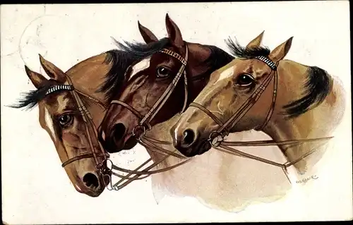 Künstler Ak Drei Pferde, Tierportrait, Zaumzeug