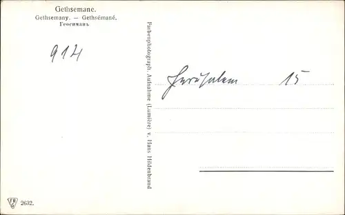 Ak Gethsemane Israel, Garten