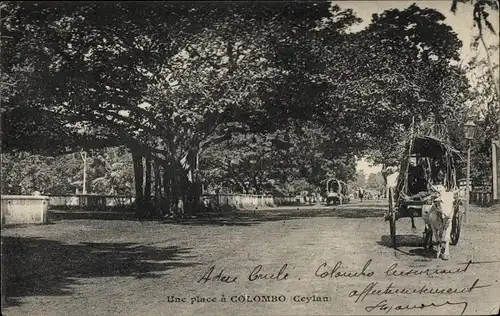 Ak Colombo Ceylon Sri Lanka, Ein Ort