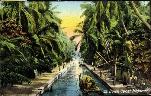 Ak Negombo Sri Lanka Ceylon, Niederländischer Kanal, Kanalpartie, Palmen, Einheimische