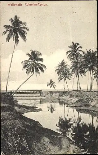 Ak Colombo Ceylon Sri Lanka, Wellewatte, Wasserpartie, Brücke, Palmen