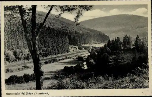 Ak Hoppecke Brilon im Sauerland, Hoppecketal