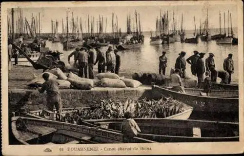 Ak Douarnenez Finistère, Kanu beladen mit Thunfisch