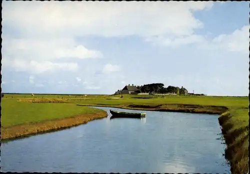 Ak Hallig Hooge in Nordfriesland, Bockenswarft, Priel, Boot