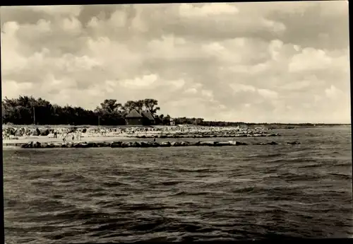 Ak Ostseebad Zingst, Strand, Panorama