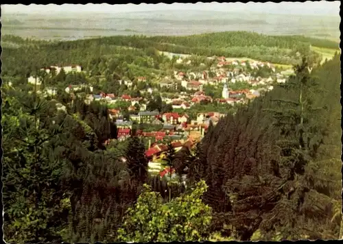 Ak Friedrichroda im Thüringer Wald, Totalansicht