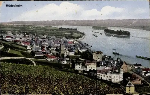 Ak Rüdesheim am Rhein, Panorama