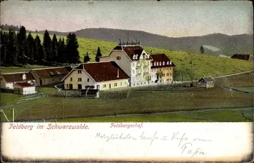 Ak Feldberg im Schwarzwald, Feldbergerhof, Panorama