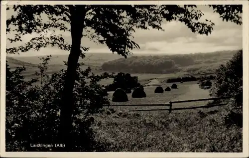 Ak Laichingen in Württemberg, Panorama