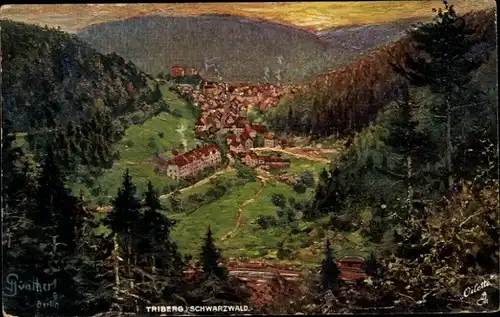 Ak Triberg im Schwarzwald, Panorama