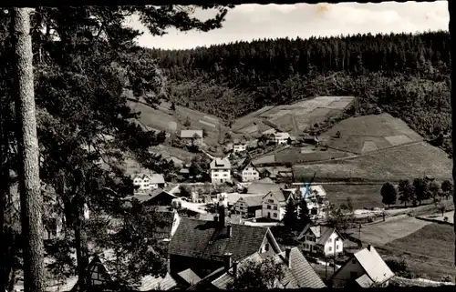 Ak  Gompelscheuer Enzklösterle im Schwarzwald, Panorama