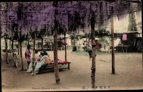 Ak Tokio Tokio Japan, Glyzinienblüte Kameido