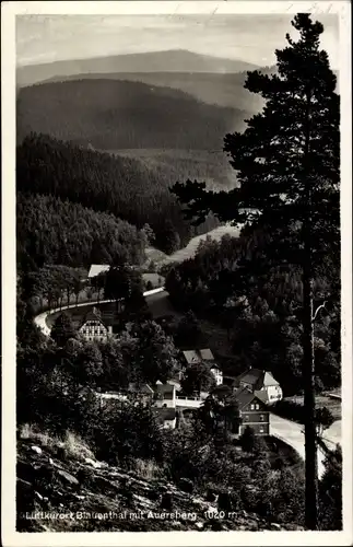 Ak Blauenthal Eibenstock im Erzgebirge, Panorama mit Auersberg, Parkgaststätte Forelle