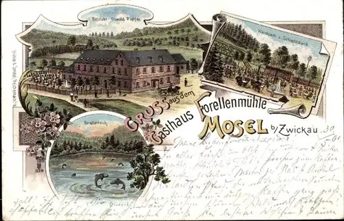 Litho Mosel Zwickau in Sachsen, Gasthaus Forellenmühle, Bes. Eduard Starke, Waldpark, Forellenteich
