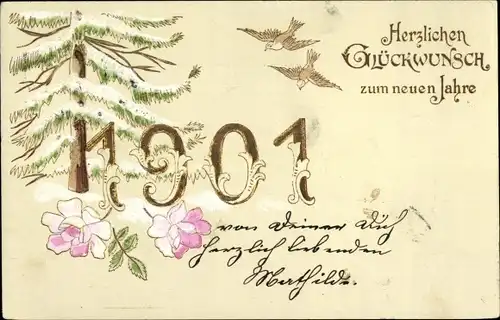 Präge Litho Glückwunsch Neujahr, Jahreszahl 1901, Rosen, Vögel