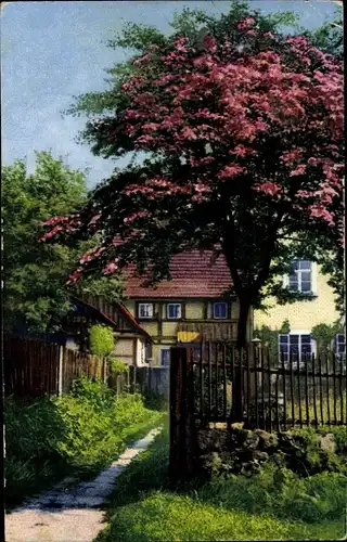 Ak Dresden Nordost Oberpoyritz, Rotdorn, Photochromie, Nenke und Ostermaier 251 3998