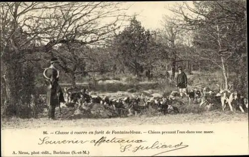 Ak Jagd im Wald von Fontainebleau, Hundemeute