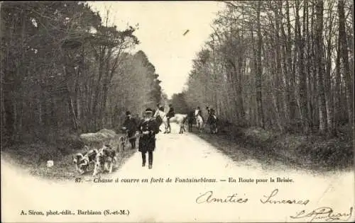 Ak Jagd im Wald von Fontainebleau, Hundemeute, Reiter