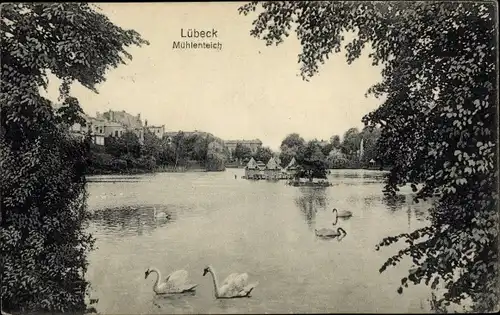 Ak Hansestadt Lübeck, Mühlenteich, Schwäne