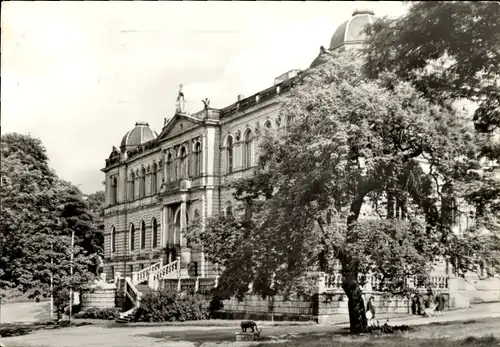 Ak Altenburg in Thüringen, Staatliches Lindenau-Museum