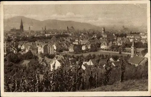 Ak Freiburg im Breisgau, Panorama
