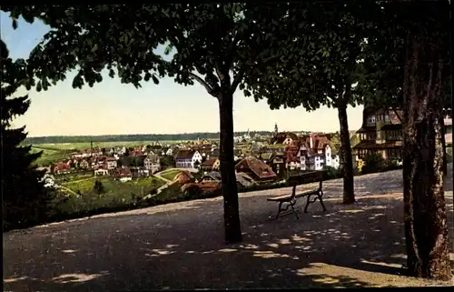 Ak Freudenstadt im Nordschwarzwald, Wegpartie mit Blick auf den Ort