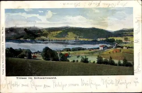 Ak Titisee Neustadt im Breisgau Hochschwarzwald, Landschaft, Häuser