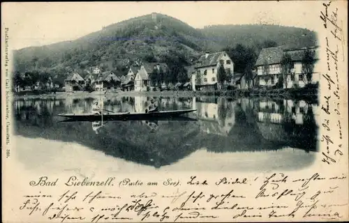 Ak Bad Liebenzell im Schwarzwald, Teilansicht, Seepartie