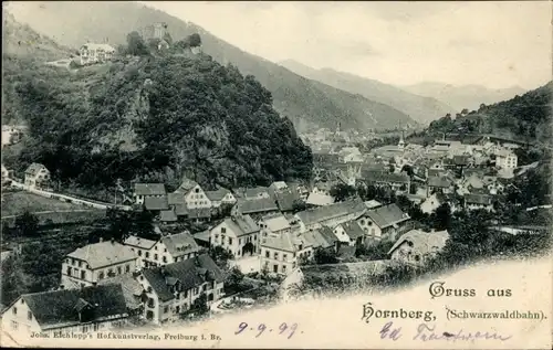 Ak Hornberg im Schwarzwald, Panorama