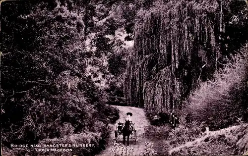 Ak Mount Macedon Victoria Australien, Brücke in der Nähe von Sangsters Nursery, Upper Macedon