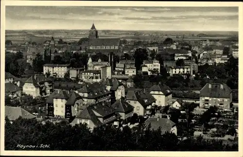 Ak Chojnów Haynau Schlesien, Gesamtansicht