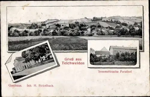 Ak Teichweiden Uhlstädt Kirchhasel an der Saale, Gesamtansicht, Gasthaus, Forsthof