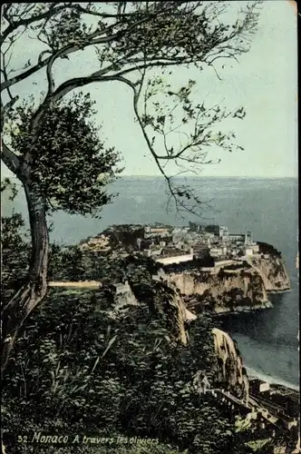 Ak Monaco, A travers les oliviers