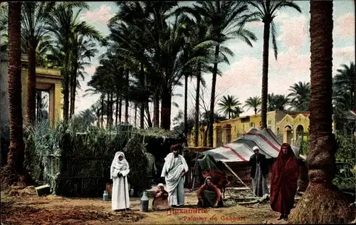 Ak Alexandria Ägypten, Gabbari Palm, Palmenhaus, Zelt