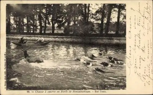 Ak Jagd im Wald von Fontainebleau, Hundemeute, Hirsch im Wasser