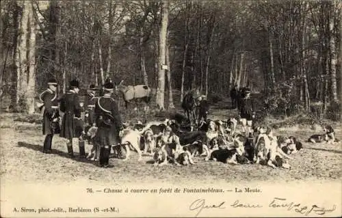 Ak Jagd im Wald von Fontainebleau, Hundemeute