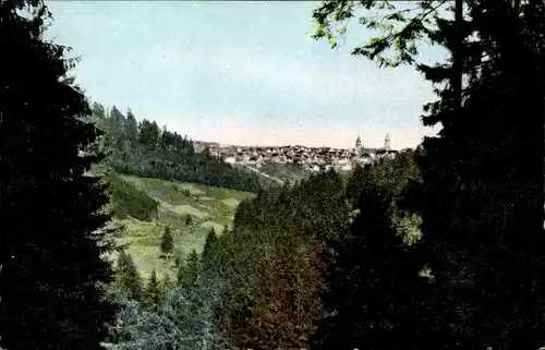 Ak Freudenstadt im Nordschwarzwald, Schöneckblick